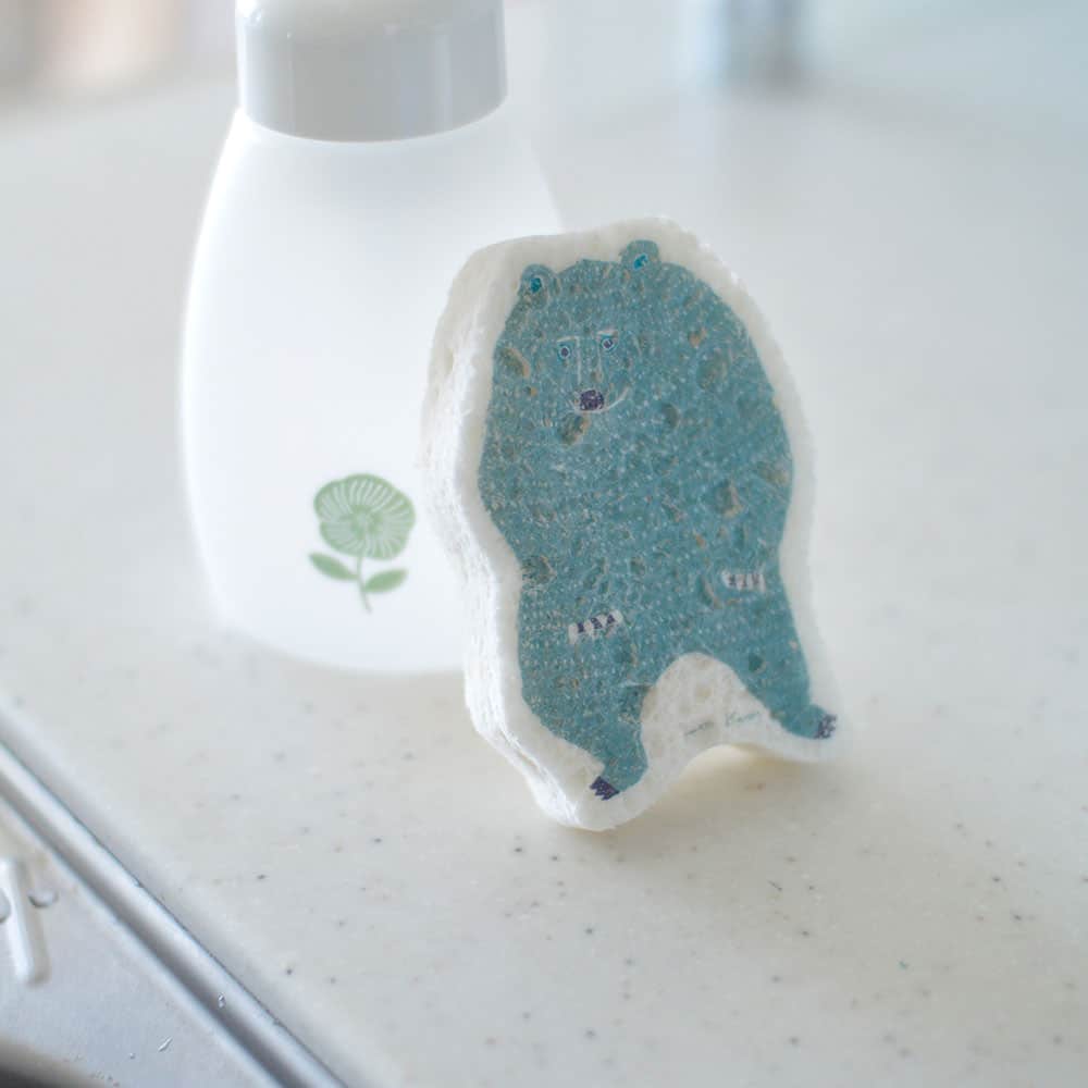 Sponge - Bear Pop-Up