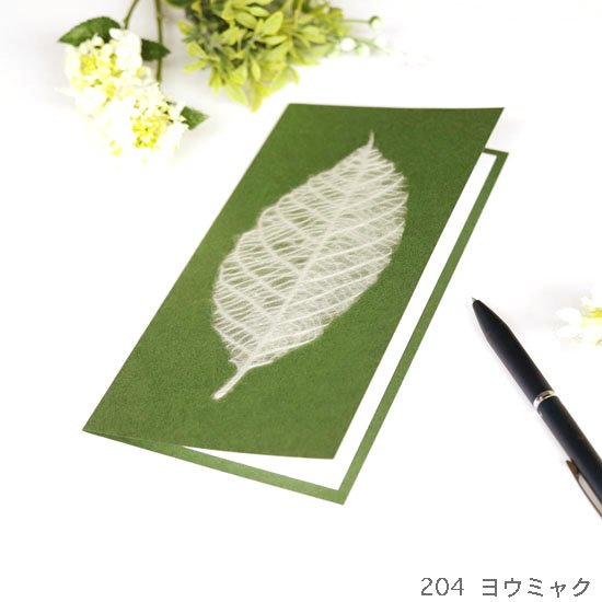 Greeting Card - Leaf Green WASHI dECO