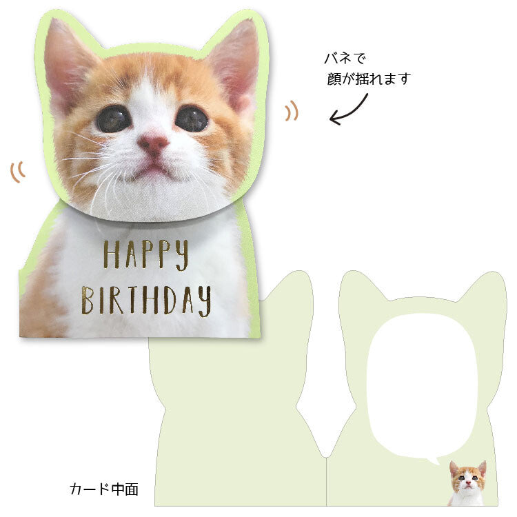 Greeting Card - Birthday Cat (Coil Spring)