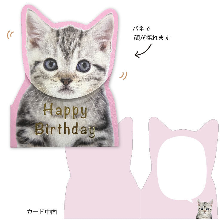 Greeting Card - Birthday Tabby Cat (Coil Spring)