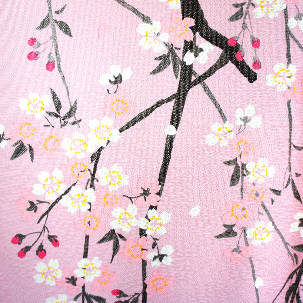 Noren - Weeping Cherry