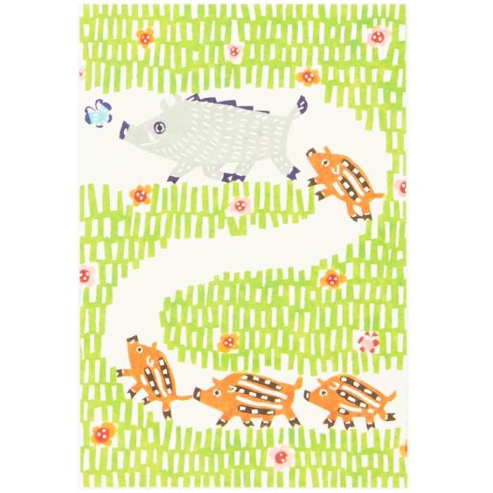 Postcard - Wild Pig Family