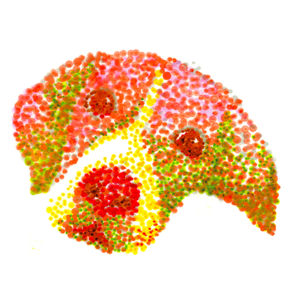 ZIG Clean Color Dot Pen - A set of 12 colours