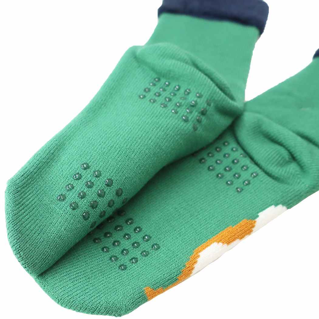Reading Socks (extra warm)- Shiba
