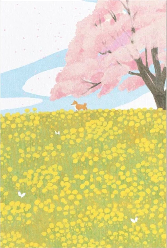 Postcard - Shiba & Sakura
