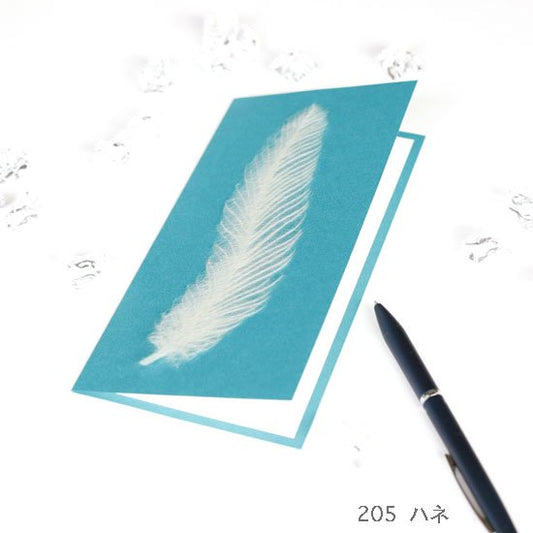 Greeting Card - Feather Blue WASHI dECO