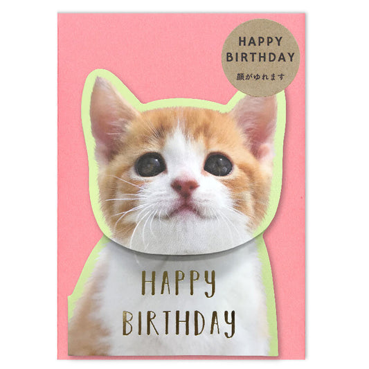 Coil Spring Birthday Card - Cat