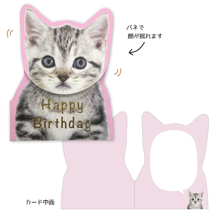 Coil Spring Birthday Card - Tabby Cat