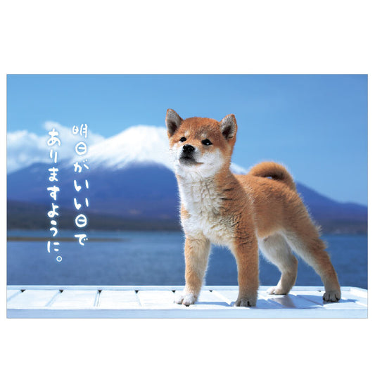 Postcard - Mt. Fuji Shiba Dog