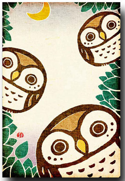 Owl Illustrated Postcard